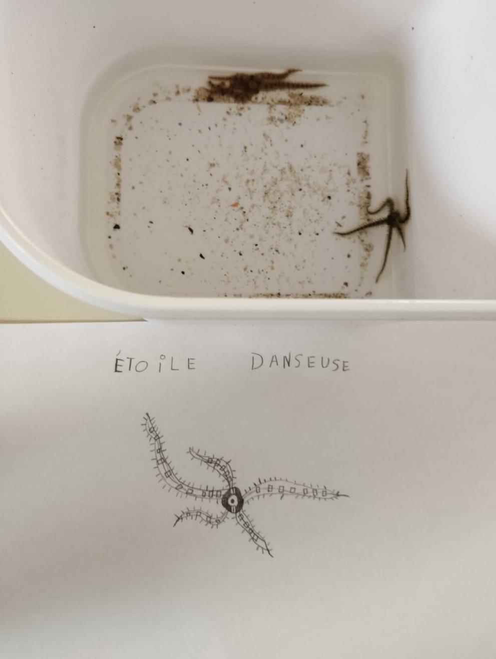 classe de mer classe de mer