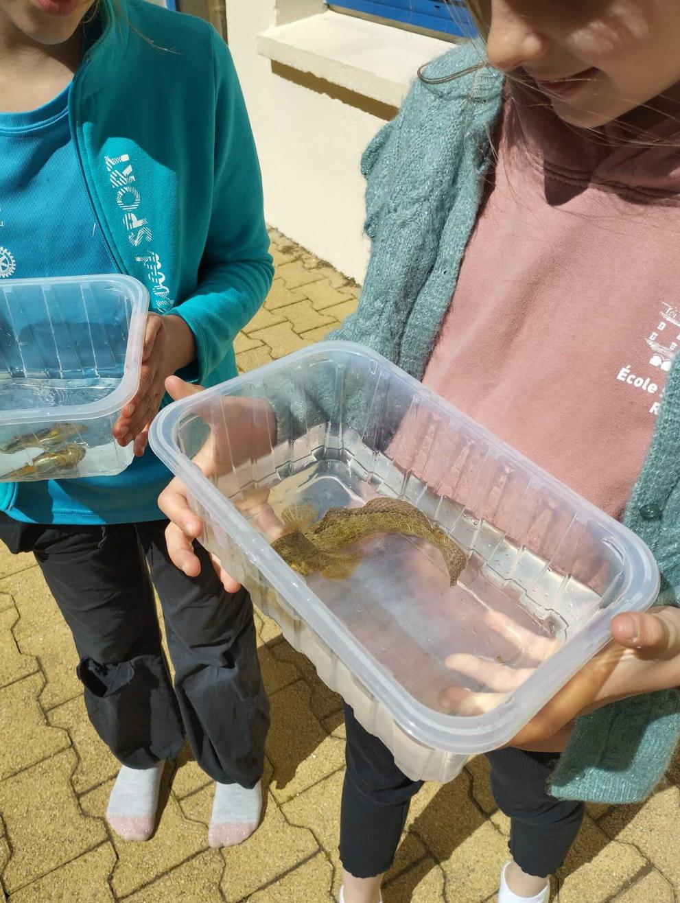 classe de mer classe de mer