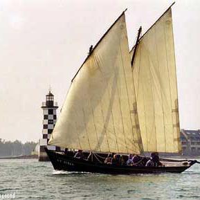 Barbinasse à hauteur de la Perdrix