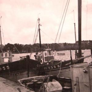 Sardiniers dans le port de l'Ile-Tudy en 1954